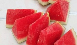 每日大赛 吃瓜网,吃瓜网带你领略精彩瞬间